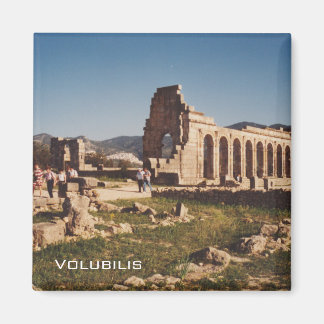 Aimant Ruines de Volubilis