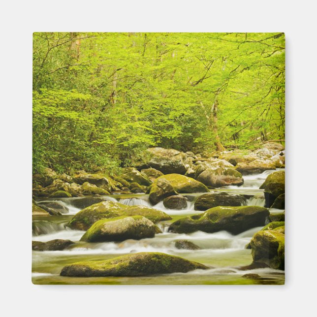 Aimant Ruisseau Rugissant au printemps (Devant)