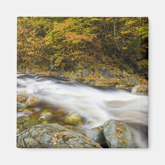 Aimant Ruisseau Rugissant en automne dans les montagnes V (Devant)