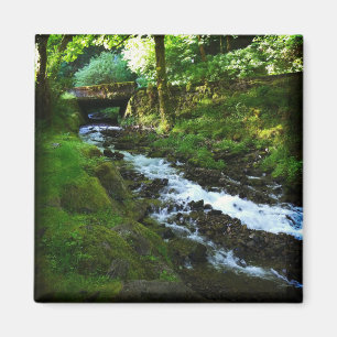 Aimant Runoff from Wahkeena Falls, Oregon