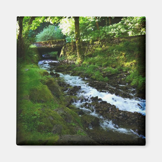 Aimant Runoff from Wahkeena Falls, Oregon (Devant)