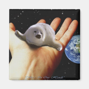 AIMANT S.O.S. SAUVEGARDEZ NOS PHOQUES À HARP