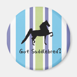 Aimant Saddlebred obtenu ?