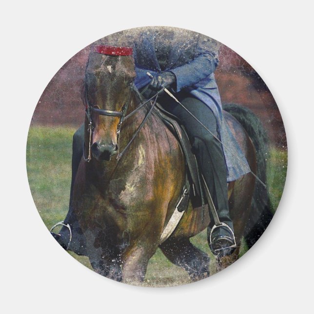 Aimant Saddleseat (Devant)