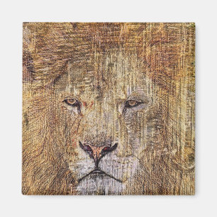 Aimant safari en Afrique faune majestueux lion