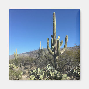 Aimant Saguaro Cactus