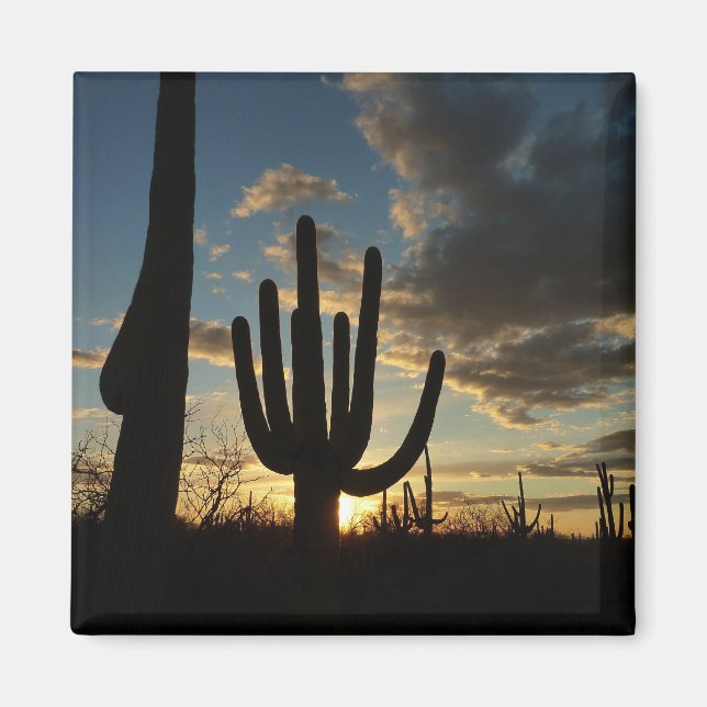Aimant Saguaro Sunset II Arizona (Devant)