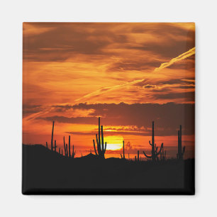 Aimant Saguaros pittoresque au coucher du soleil