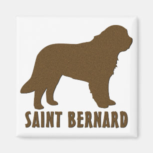 Aimant Saint Bernard