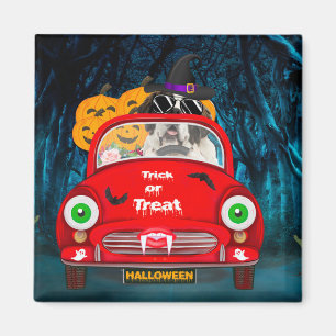 Aimant Saint Bernard Chien voiture voiture effrayant Hall