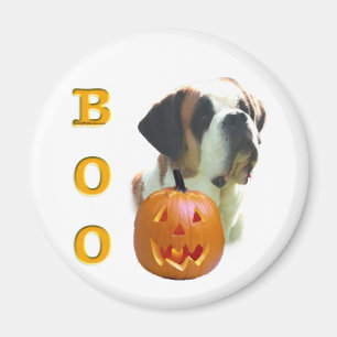 Aimant Saint Bernard (lisse) Boo