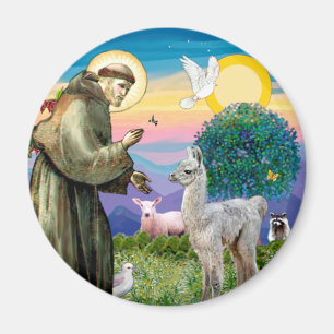 Aimant Saint François et bébé lama