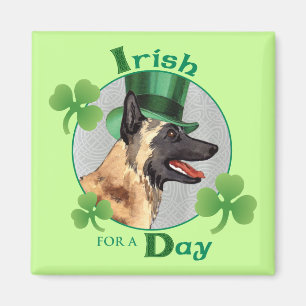 Aimant Saint Patrick's Day Malinois