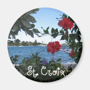 Aimant Sainte-Croix, V.I.