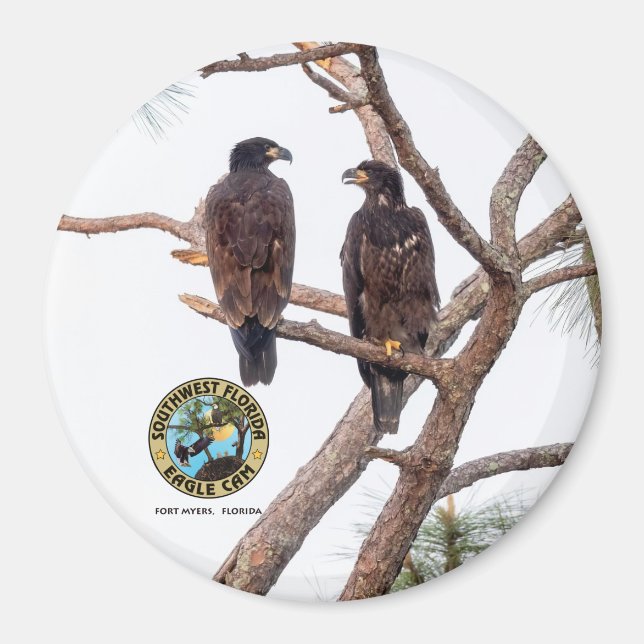 Aimant Saison E21 & E22 Best Buds 11 (Devant)