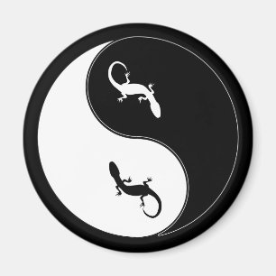 Aimant Salamandre de Yin Yang