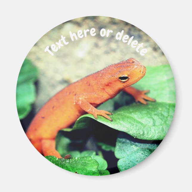 Aimant Salamandre Red Eft Nature Personnalisée (Devant)