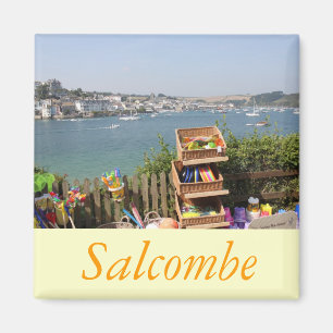 Aimant Salcombe, Devon