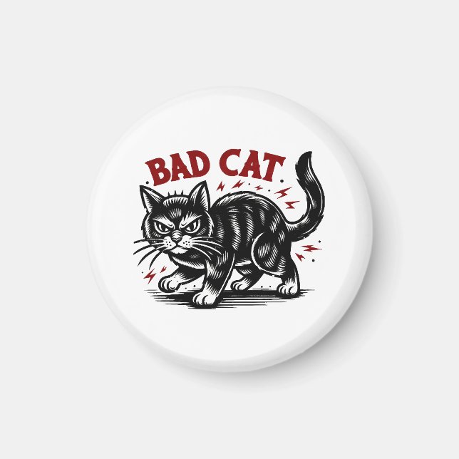 Aimant Sale Chat (Devant)