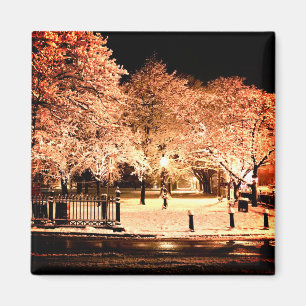 Aimant Salem Common Massachusetts Photo sous la neige