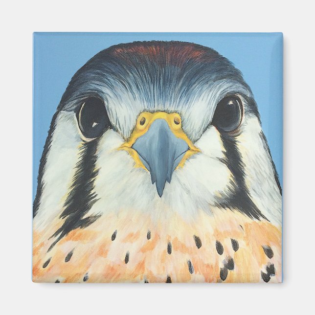 Aimant Sam, un Kestral américain (Devant)