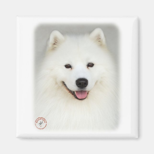 Aimant Samoyed 9Y566D-019 (Devant)
