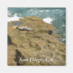 Aimant San Diego prenant un bain de soleil l'aimant de