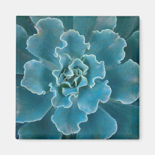 Aimant San Francisco California Golden Gate Park et