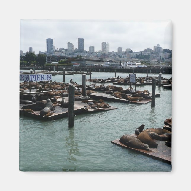 Aimant San Francisco et Otaries de Pier 39 Ciel de la vil (Devant)