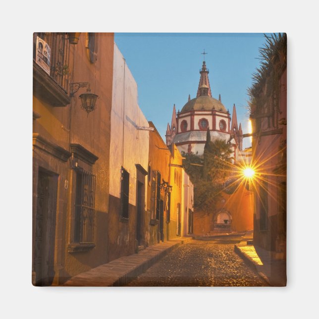 Aimant San Miguel de Allende, Mexique. Crédit : Nancy (Devant)