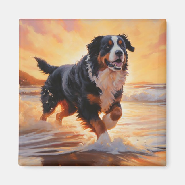 Aimant Sandy Paws Bernese Mountain Dog on Beach Sunset (Devant)