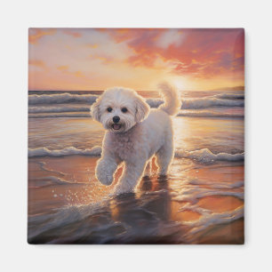 Aimant Sandy Paws Bichon Frise Dog sur Beach Sunset