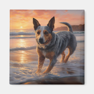 Aimant Sandy Paws chien de bétail australien sur la plage