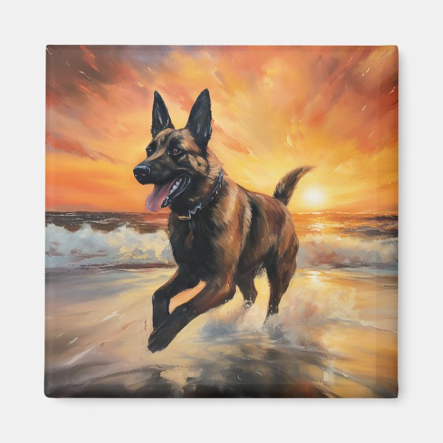 Aimant Sandy Paws Chien Malinois Belge sur le coucher du  (Devant)