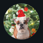 Aimant Santa Hat Bulldog Christmas Tree Snowman boîte cad<br><div class="desc">Mignonne photo Bulldog avec boîte cadeau de Noël Tree Snowman en arrière - plan. Un cadeau parfait pour Noël !</div>