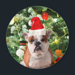 Aimant Santa Hat Bulldog Christmas Tree Snowman boîte cad<br><div class="desc">Mignonne photo Bulldog avec boîte cadeau de Noël Tree Snowman en arrière - plan. Un cadeau parfait pour Noël !</div>