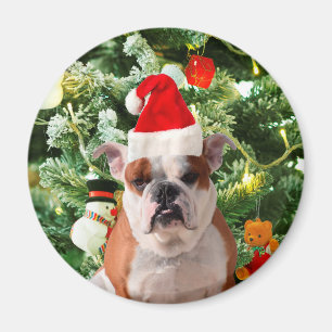 Aimant Santa Hat Bulldog Christmas Tree Snowman boîte cad