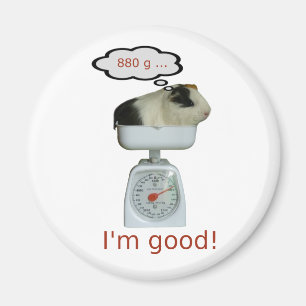 Aimant Santé des porcs de Guinée