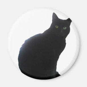 Aimant Saule le chat noir