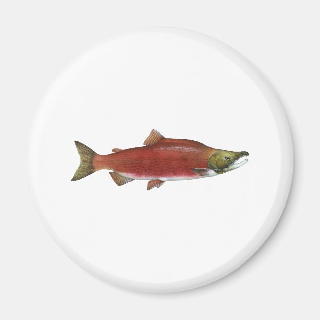 Aimant Saumon Sockeye (Devant)