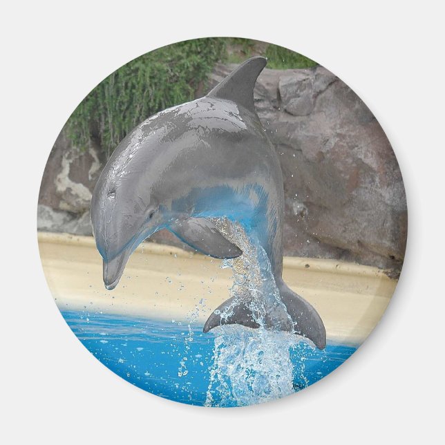 Aimant Saut de l'aimant dauphin (Devant)