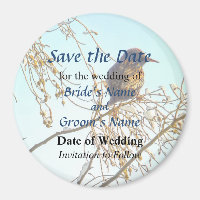 Sauterelle sur une branche d'hiver Enregistrer la