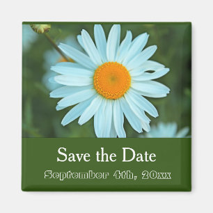 Aimant sauver la date, fleur de marguerite blanche pure v