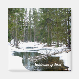 Aimant Sauvetage de l'Utah