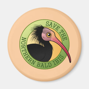 Aimant Sauvez IBIS chauve du nord