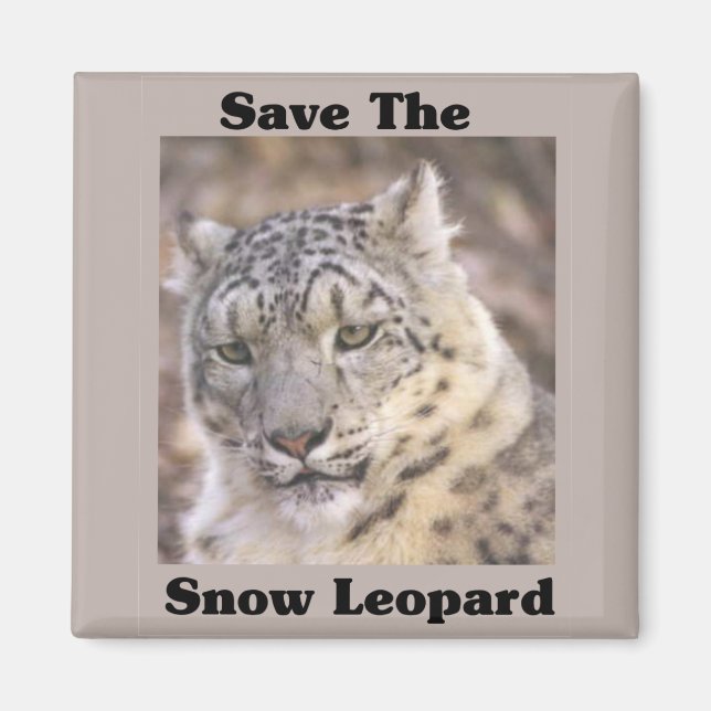 Aimant Sauvez le léopard des neiges (Devant)