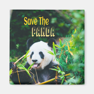 Aimant Sauvez Le Panda
