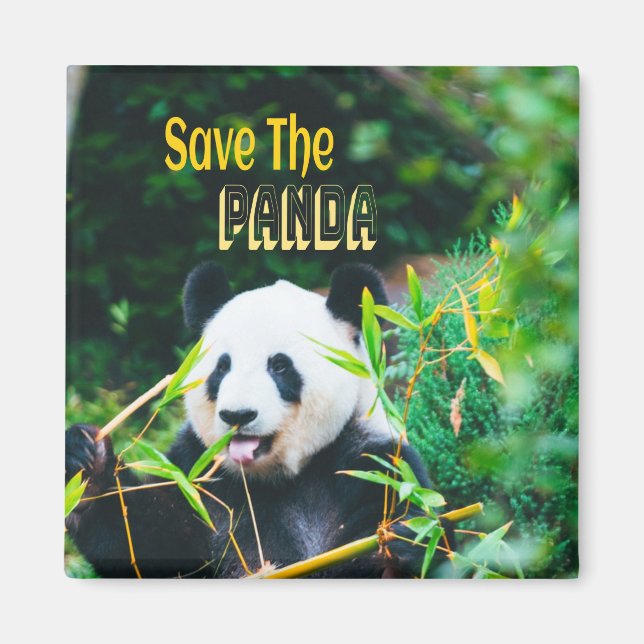 Aimant Sauvez Le Panda (Devant)