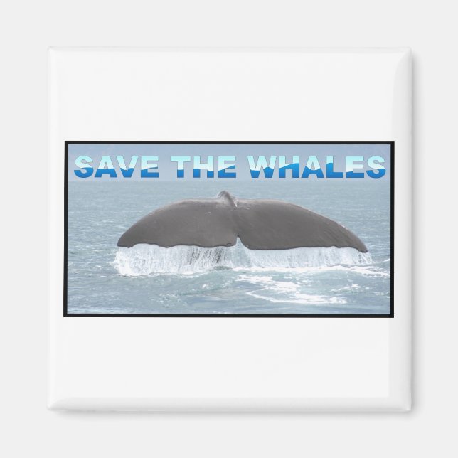 Aimant Sauvez les baleines (Devant)