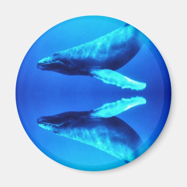 Aimant Sauvez les baleines (Devant)